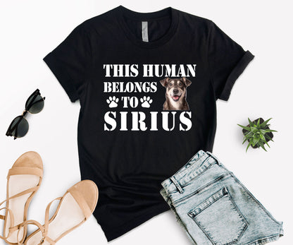 This Human Belongs to Shirt, Custom Dog Dad Shirt, Custom Photo Pet Shirt-newamarketing